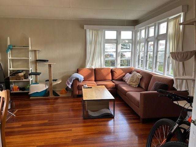 4 Wexford Road Grey Lynn_3