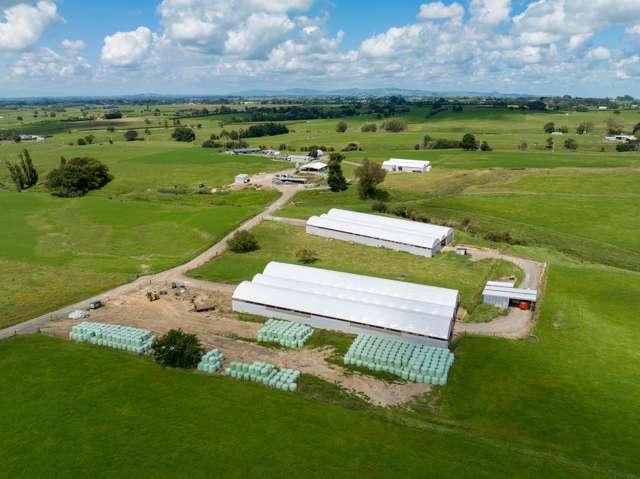 224 Herbert Road Morrinsville_2