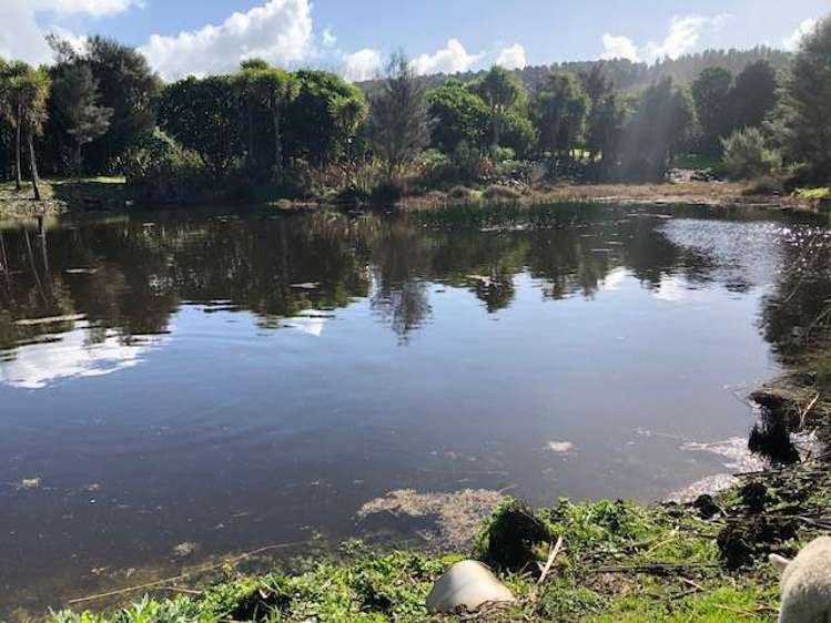 Lot 2 DP480579 South Head Road South Head_47