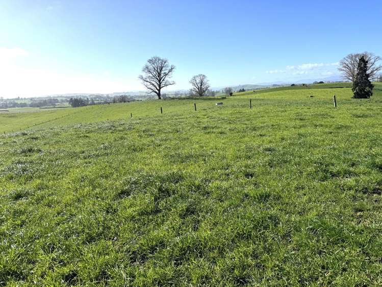 233B Kio Kio Station Road Otorohanga_14