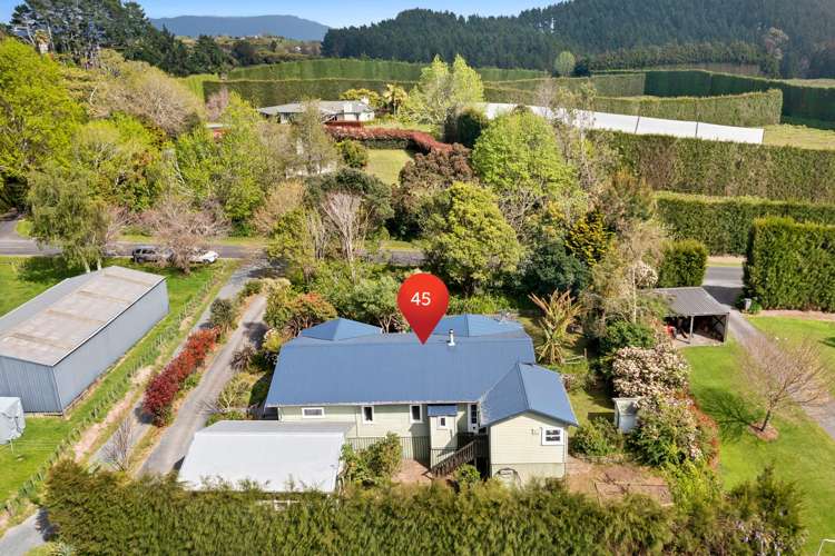 45 Plummer Road Whakamarama_4