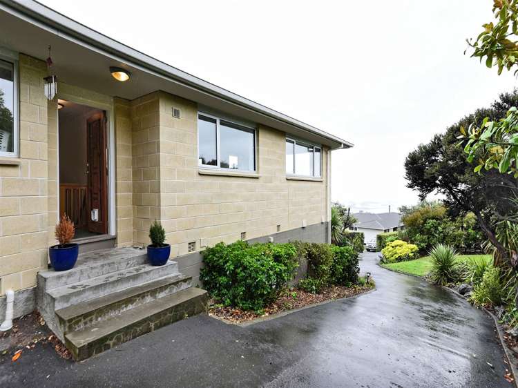 164a Soleares Avenue Mount Pleasant_1