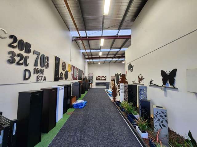 163D Wordsworth Street Sydenham_4