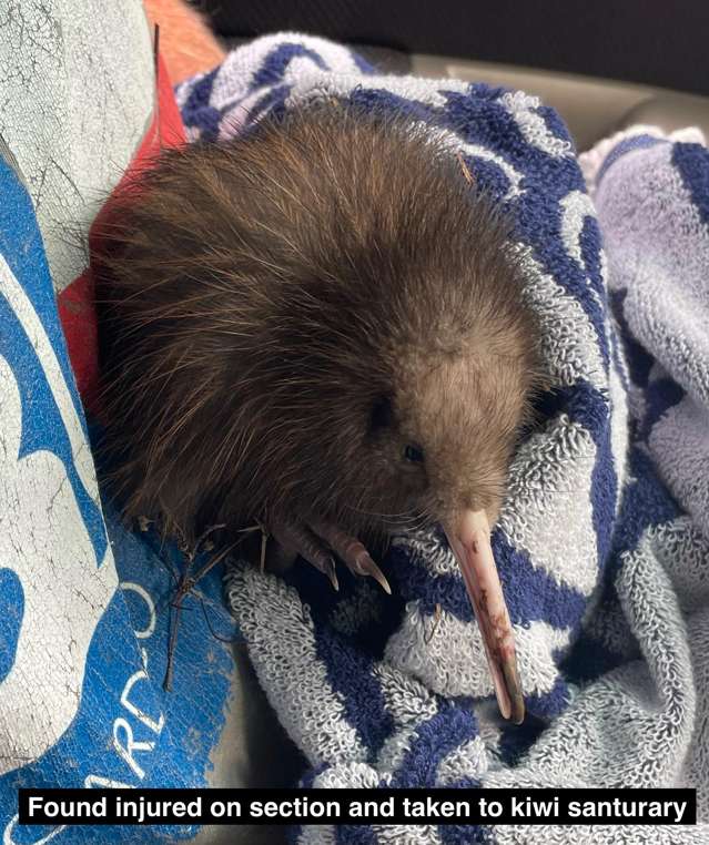 125C Sailors Grave Road, Pumpkin Hill Tairua_3