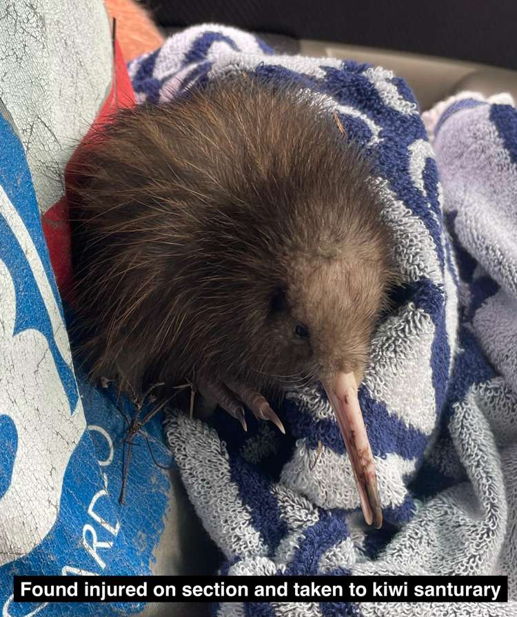 125C Sailors Grave Road, Pumpkin Hill_3