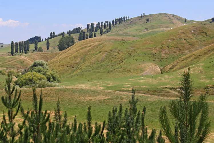 746 Te Awa Road Central Hawkes Bay Coastal_4