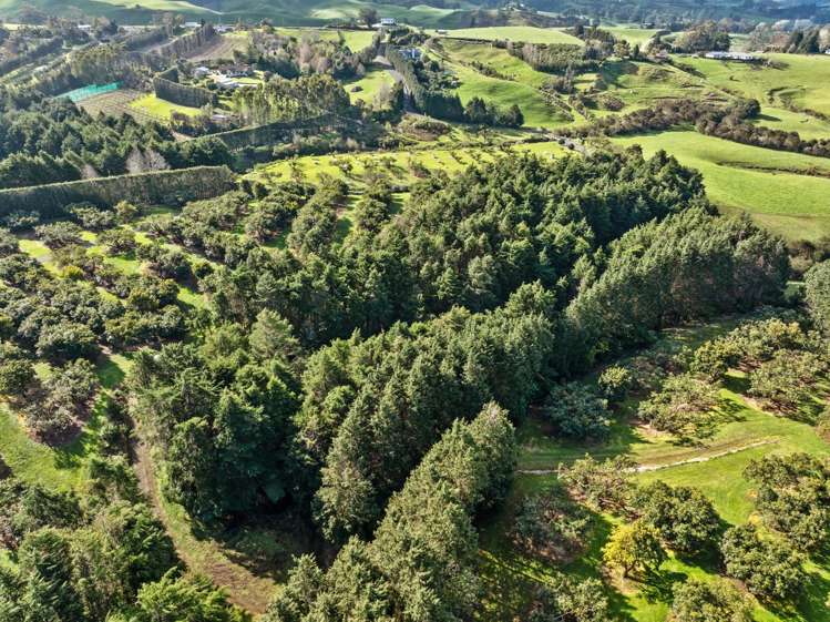 237B Busby Road Katikati_18