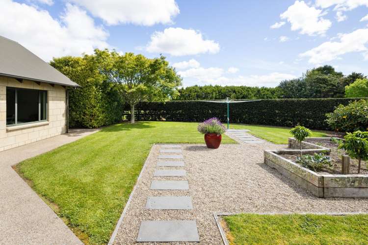 441C Marychurch Road Matangi_36