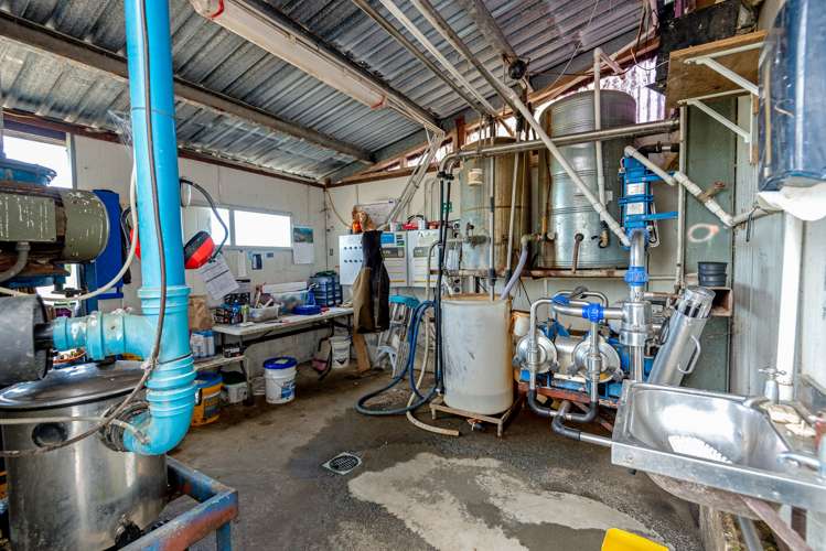 163 Makoura Road Apiti_12