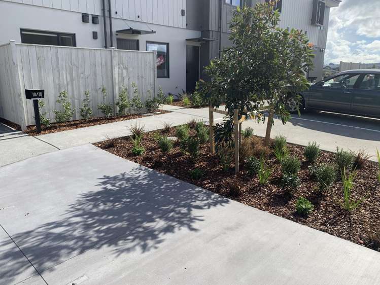 10/18 PARAONE CRESCENT "WAIATA SHORES" Takanini_16