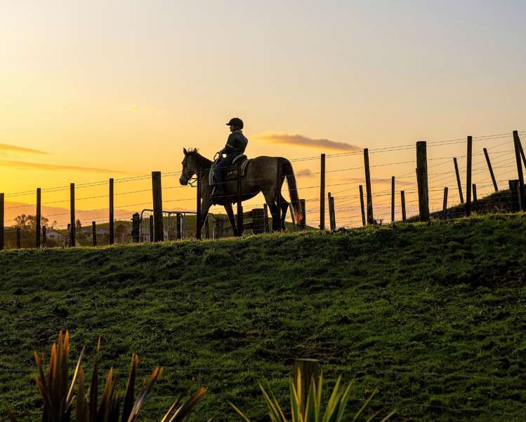 469a Minden Road Wairoa_20