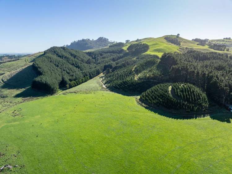 133 Flume Road Te Miro_23