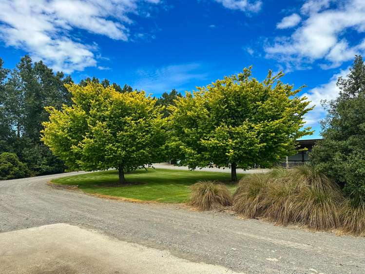 318 Waipango Ermedale Road Gummies Bush_10