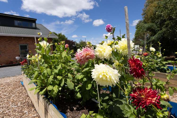 2276 Gordonton Road Taupiri_25