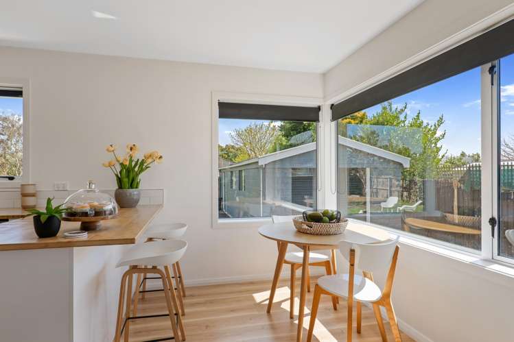 19 Eglinton Street Avondale_8