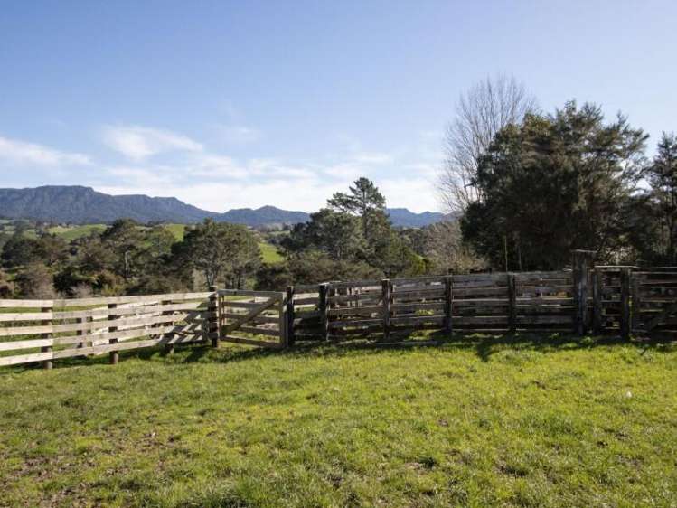 229 Walford Road Katikati_20