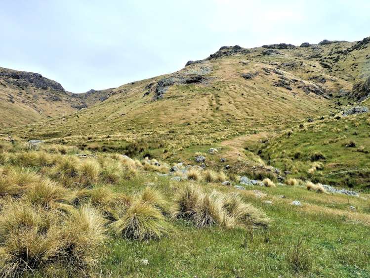 430 Camp Bay Road Port Levy_1