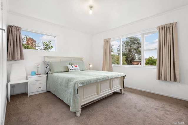 74 Webster Avenue Mount Roskill_4