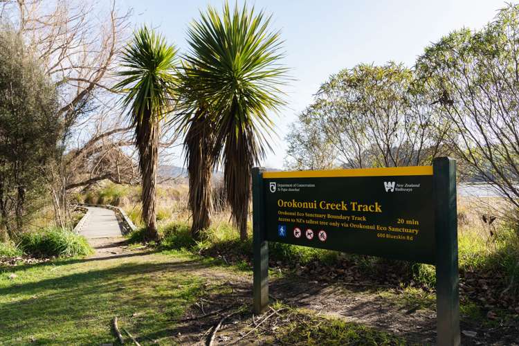 66 Orokonui Road Waitati_26