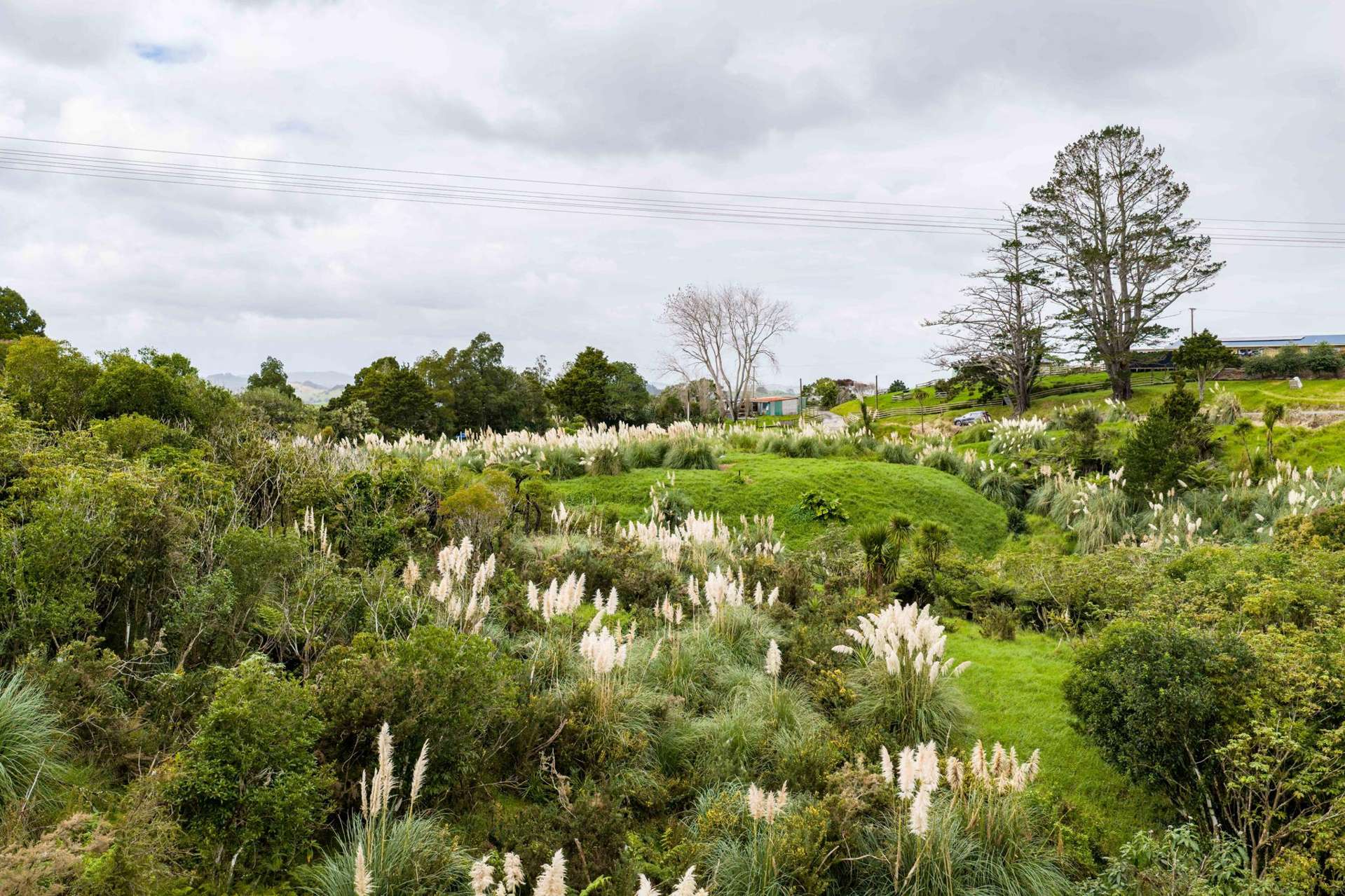 3044 Paparoa-Oakleigh Road, Paparoa Paparoa_0