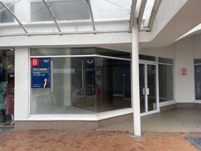 Tenancy 2/117 Willow Street Tauranga Central_1