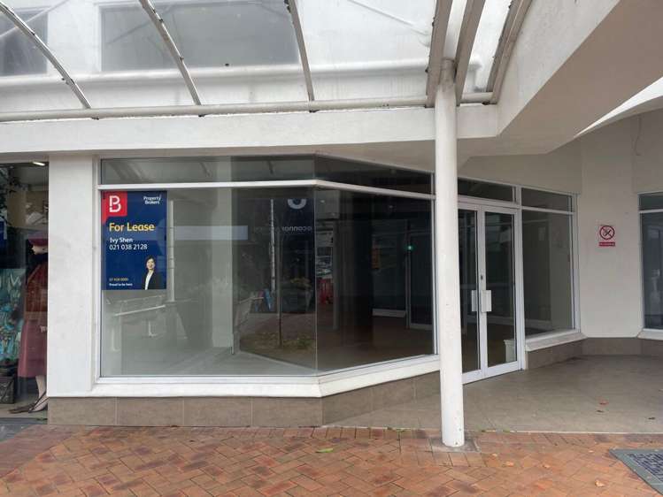 Tenancy 2/117 Willow Street Tauranga Central_1
