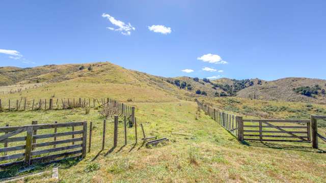 650 Falls Road Maramarua_4