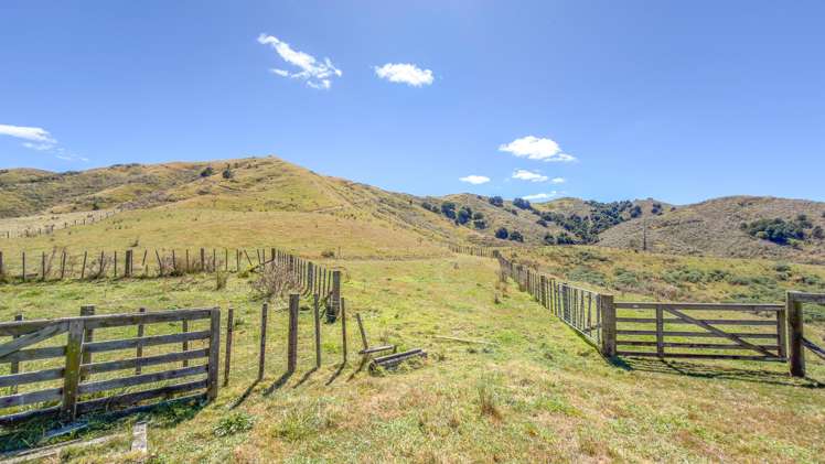 650 Falls Road Maramarua_4