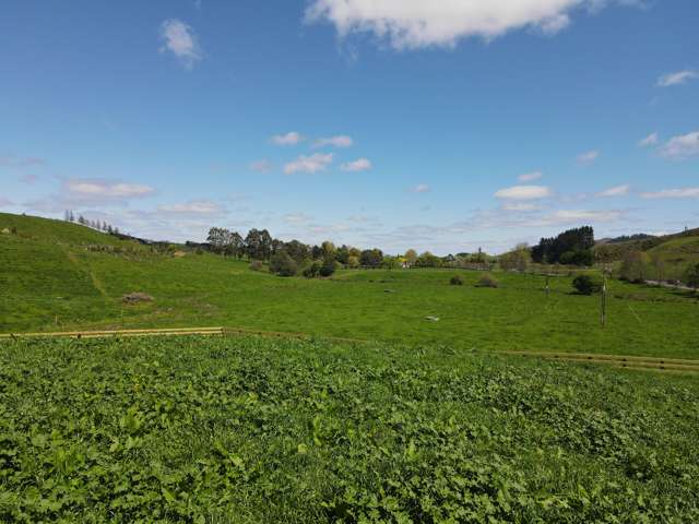 4/366 Karapiro Road Karapiro_3