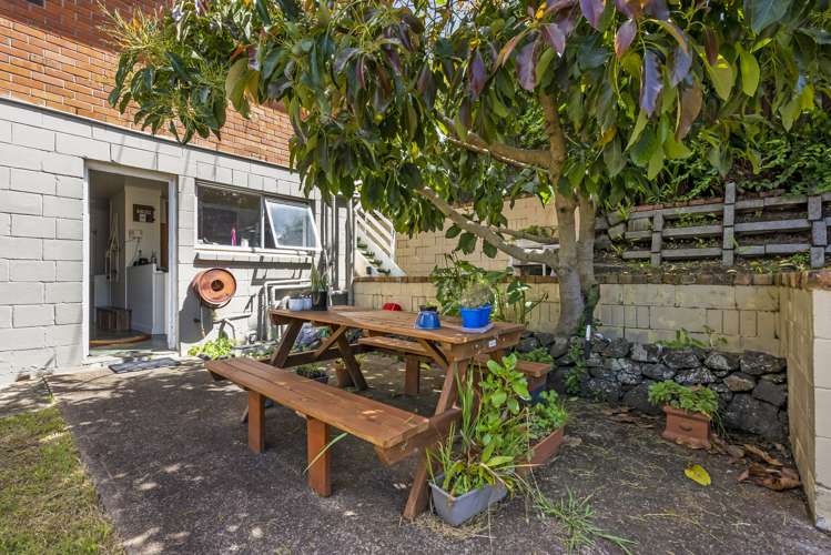 43 Sackville Street Grey Lynn_23