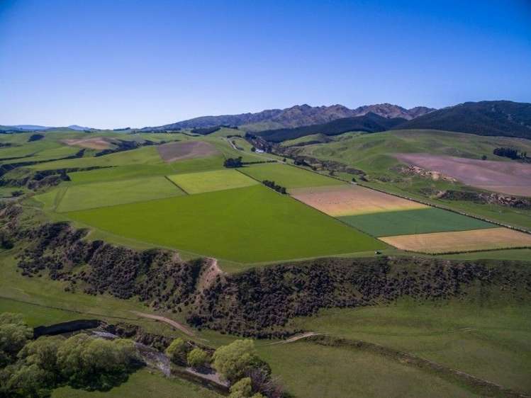 307 Broxton Road MacDonald Downs_5