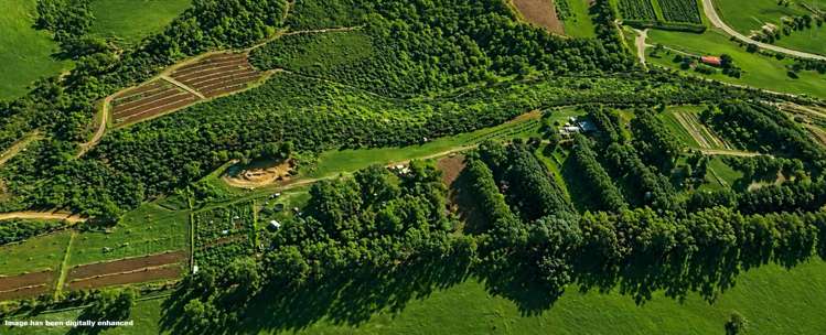 501 Purangi Road Purangi_2