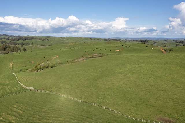 574 Mangaotaki Road Piopio_2