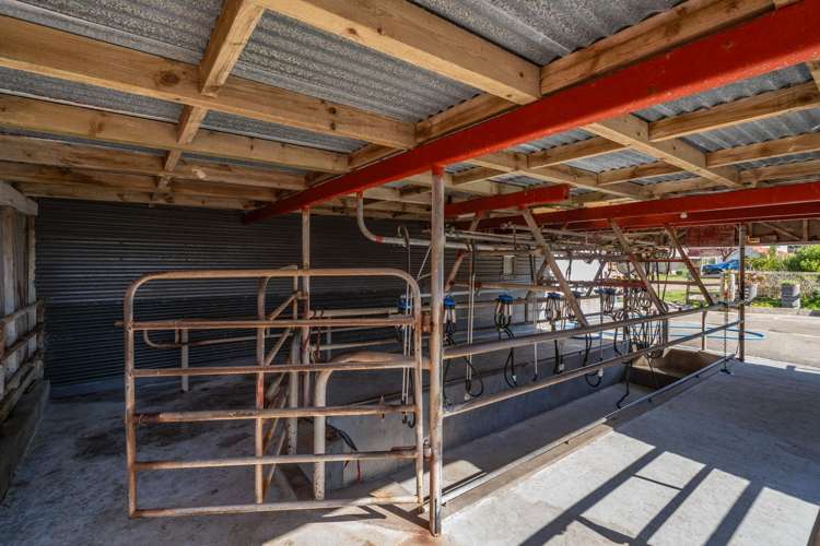 1234 Okains Bay Road Okains Bay_33