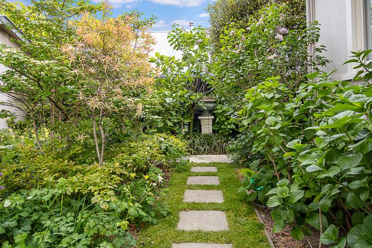 18 Purkiss Street Springlands_34