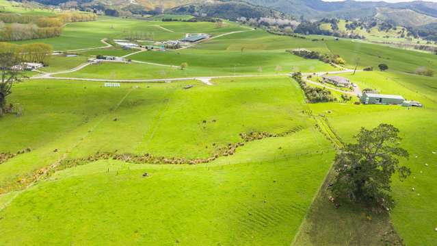 315 Old Kaipara Road Kaipara Flats_3