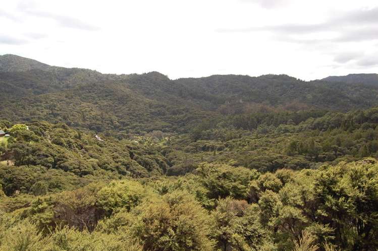 4 Harpoon Hill Great Barrier Island (Aotea Island)_2