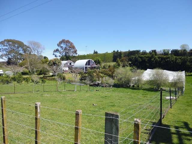 296 Paerata Ridge Road Opotiki and Surrounds_4