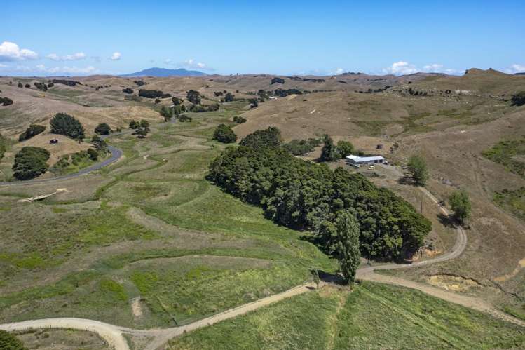 1002 Te Akau Road Te Akau_13