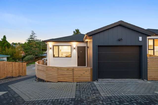 Lot 1/25 Hutchinson Avenue New Lynn_2
