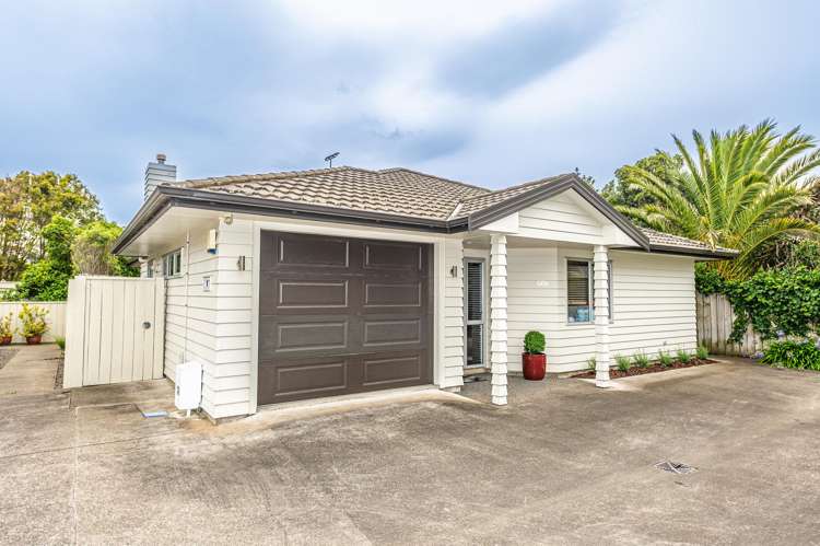 66B Totara Street Tawhero_0