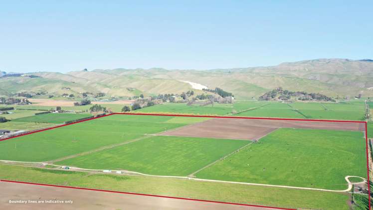 85 West Road Havelock North_4