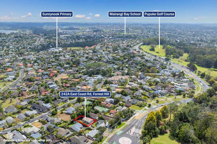 242a East Coast Road Forrest Hill_22