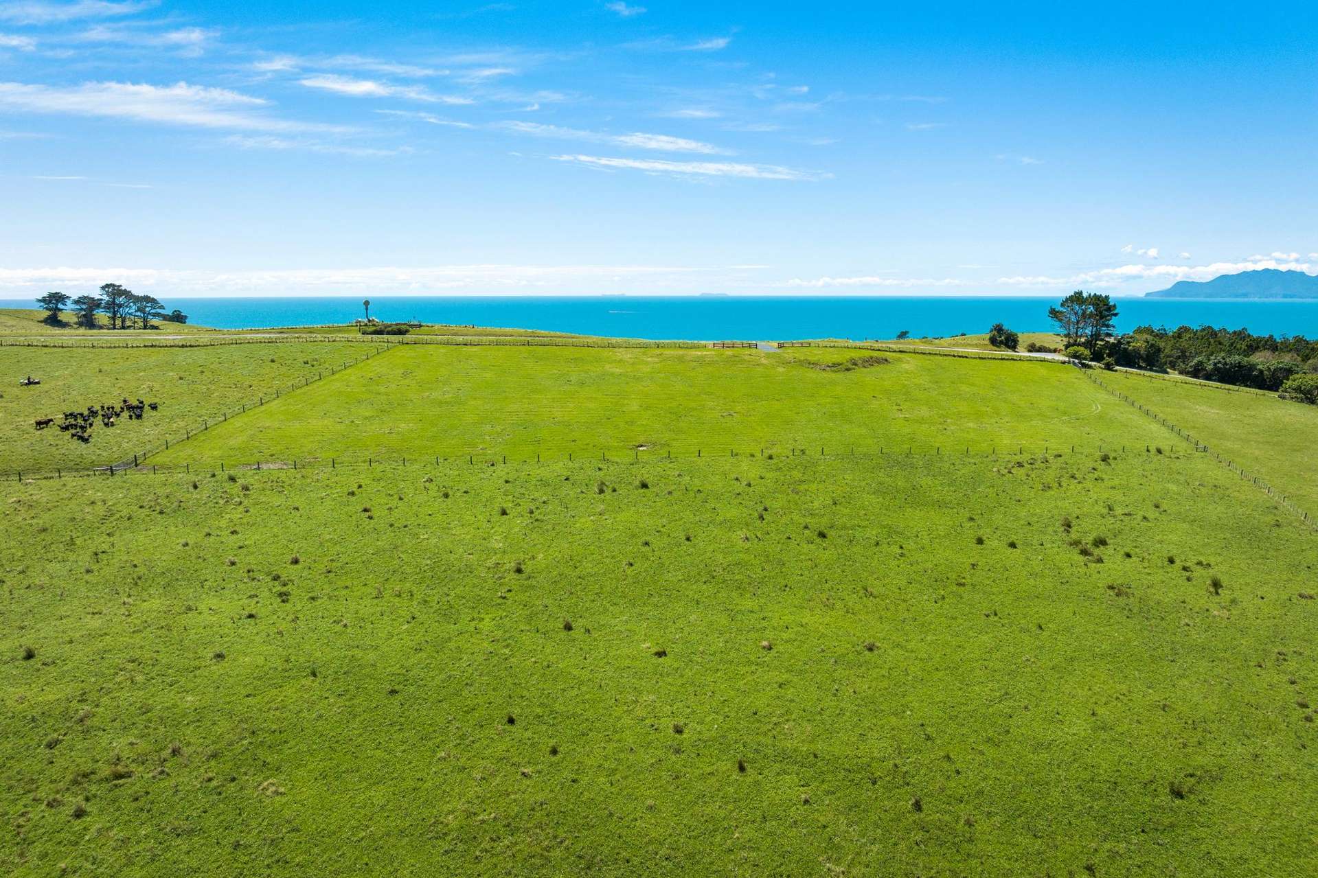 98 Cape Rodney Road Leigh_0
