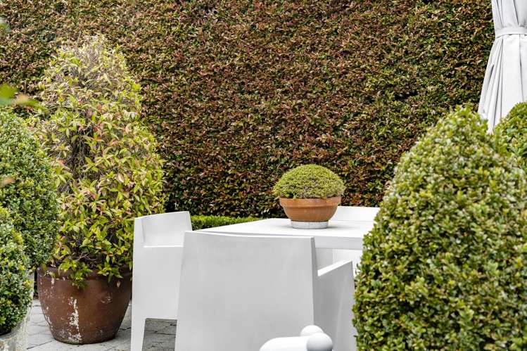 19a Benson Road Remuera_18