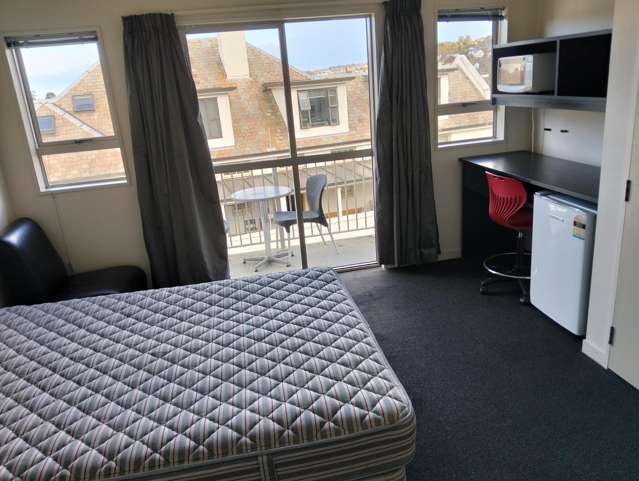 73 Buccleugh St North East Valley_1