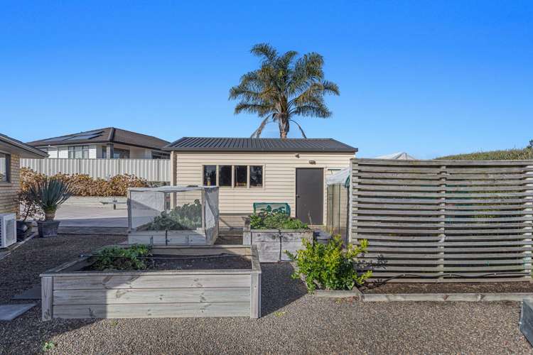 124 Grant Road Opotiki and Surrounds_22