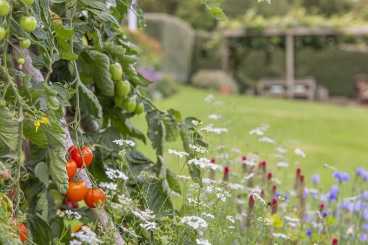 2/398 Luck At Last Road Maungatautari_14