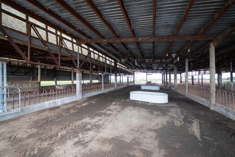 287 State Highway 1 Bulls_18