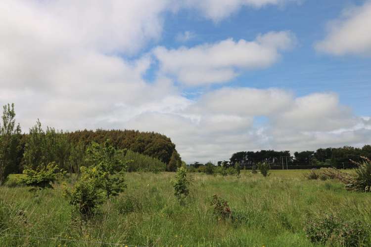 33 Caldwell Lane Roslyn Bush_6